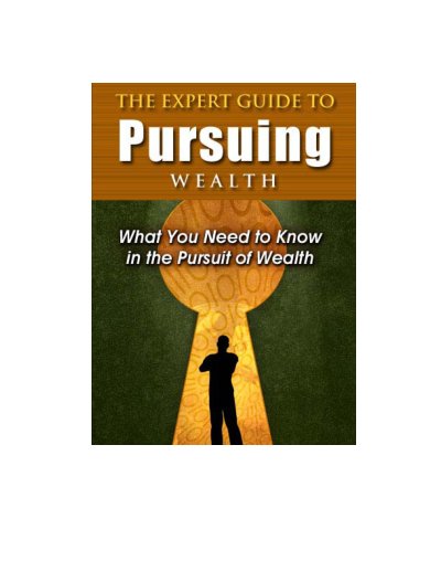 The Expert Guide to Pursuing Wealth REBRAND THIS